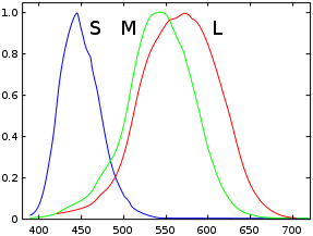 File:Cones SMJ2 E.svg