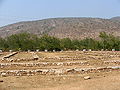Thumbnail for version as of 17:17, 15 November 2007