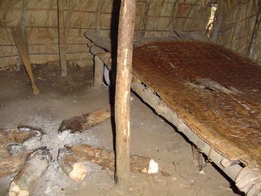 Pygmy - New World Encyclopedia