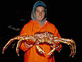 Thumbnail for version as of 15:32, 1 June 2008