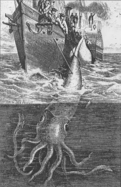 File:Alecton giant squid 1861.png