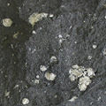 Thumbnail for version as of 19:37, 14 May 2007