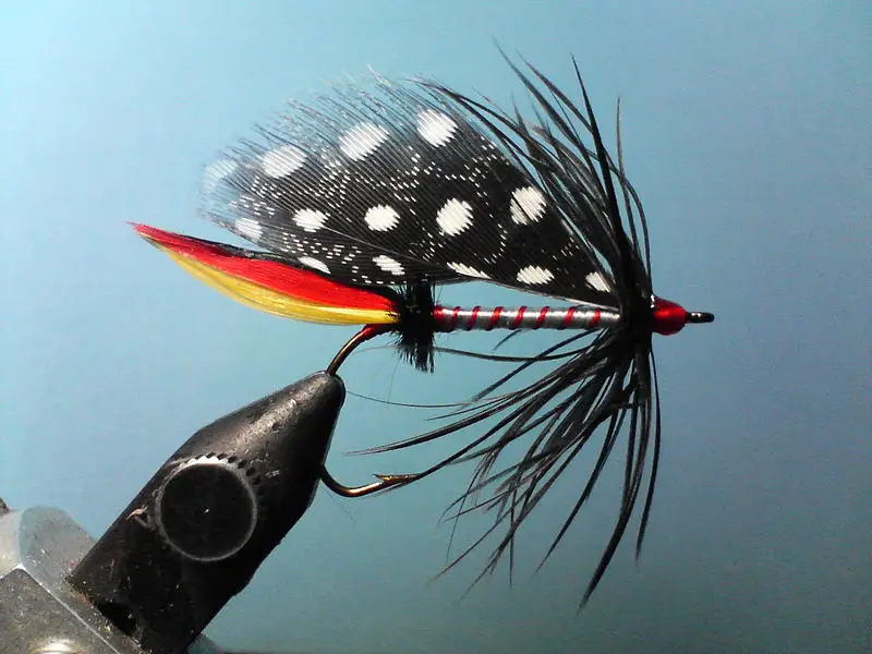 File:ClassicTriumphBassFly.jpg