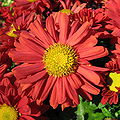 Thumbnail for version as of 02:59, 11 April 2008