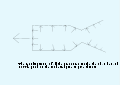 Thumbnail for version as of 19:01, 13 November 2008