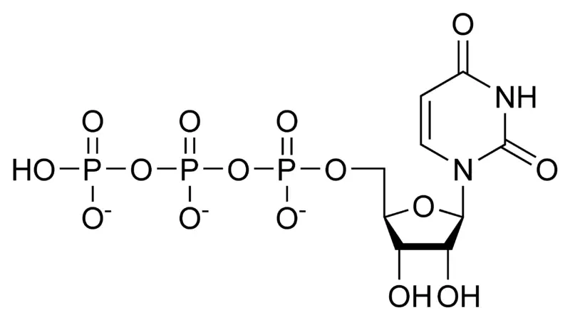 File:UTP chemical structure.png