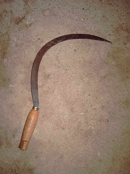 File:20.Falz.JPG
