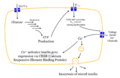 Thumbnail for version as of 15:48, 28 June 2006