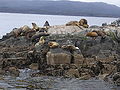 Thumbnail for version as of 04:03, 20 December 2008
