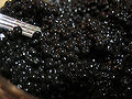 Thumbnail for version as of 22:58, 11 September 2008