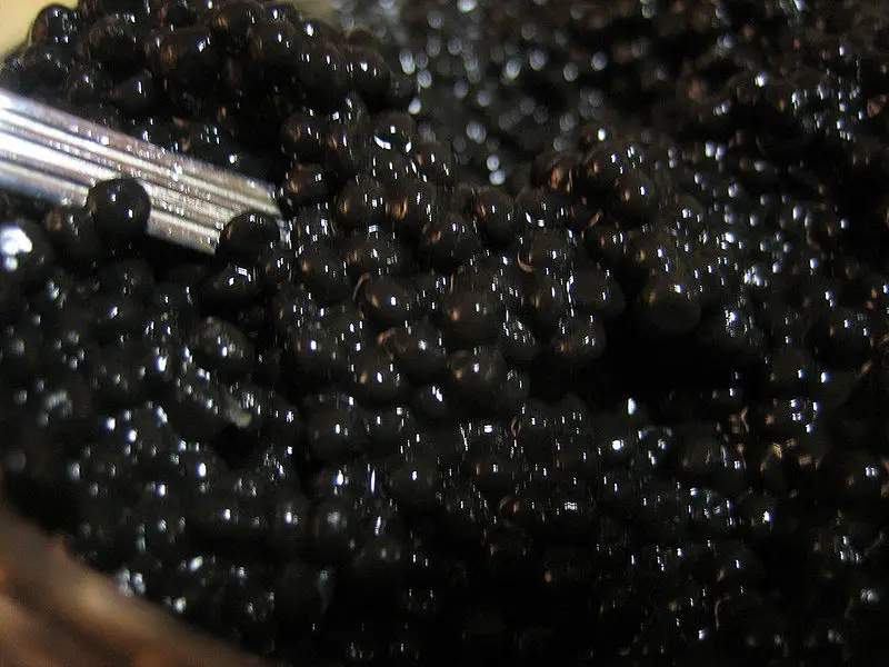 File:Caviar.jpg