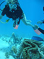 Thumbnail for version as of 12:14, 10 April 2007