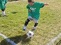 Thumbnail for version as of 21:49, 4 June 2007