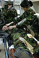 Thumbnail for version as of 14:23, 25 August 2007