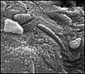 Thumbnail for version as of 00:19, 18 April 2006