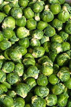 Brussels sprouts, cultivar unknown