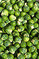 Thumbnail for version as of 19:28, 29 June 2008