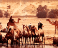 Thumbnail for version as of 06:29, 19 December 2008
