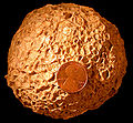 Thumbnail for version as of 02:58, 6 November 2007