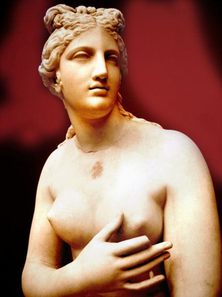 File:Venus8.jpg