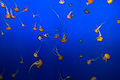 Thumbnail for version as of 20:32, 3 December 2006