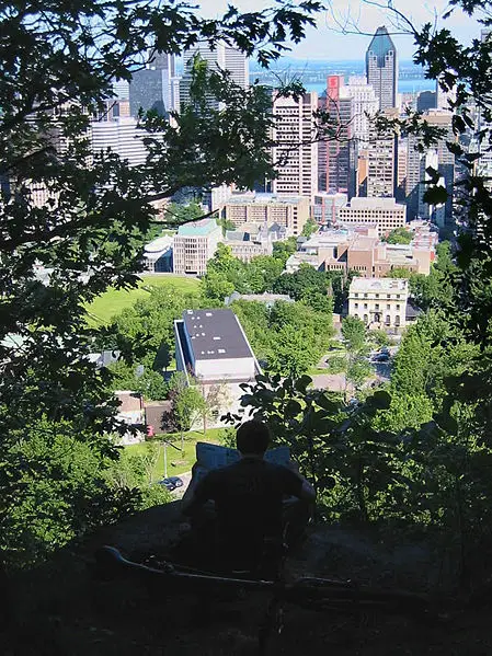 File:McGill from Mount Royal.jpg