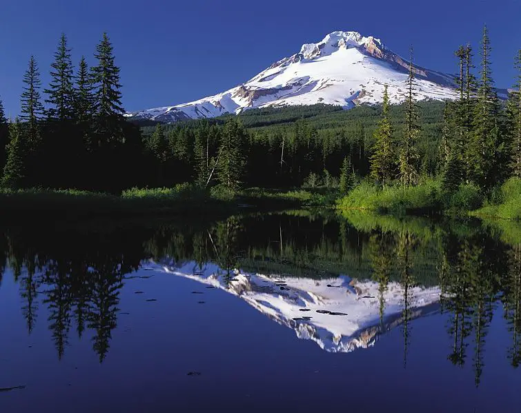 File:MtHood TrilliumLake.jpg