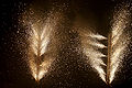 Thumbnail for version as of 15:32, 13 November 2007