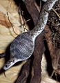 Thumbnail for version as of 21:29, 13 December 2007