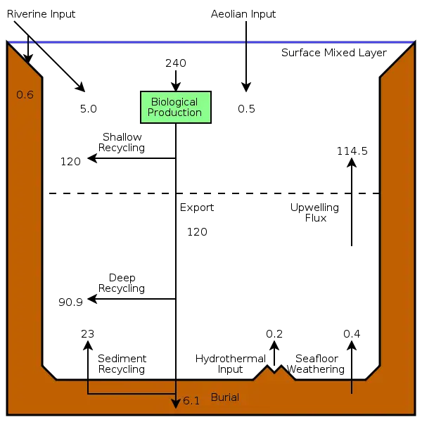 File:Oceanic Silicon Cycle Budget.svg