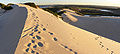 Thumbnail for version as of 23:08, 5 September 2008
