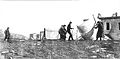 Thumbnail for version as of 22:23, 22 April 2007
