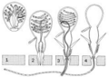 Thumbnail for version as of 12:25, 5 July 2006