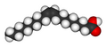 Thumbnail for version as of 19:06, 10 October 2006