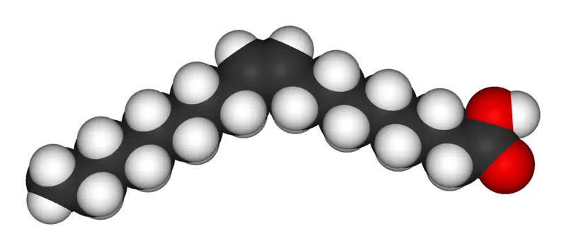 File:Oleic-acid-3D-vdW.png