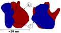 Thumbnail for version as of 15:38, 24 April 2007