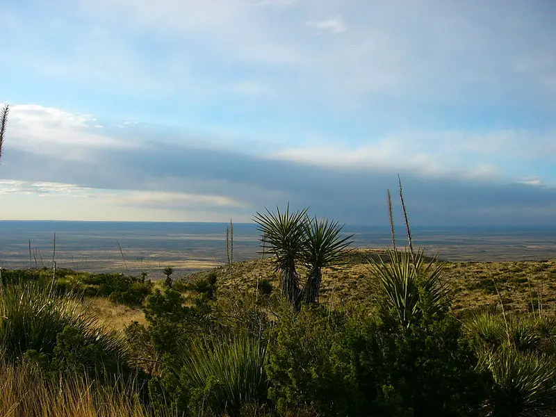 File:Carlsbad caverns entrance.jpg