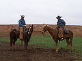Thumbnail for version as of 19:31, 27 July 2007
