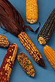Thumbnail for version as of 00:52, 13 February 2007
