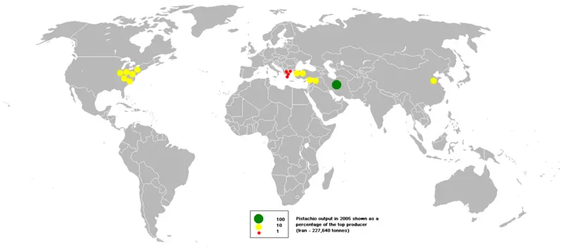 File:2005pistachio.PNG