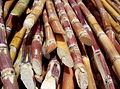 Thumbnail for version as of 22:03, 23 September 2006