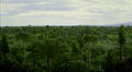 Thumbnail for version as of 17:58, 7 November 2008