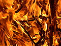 Thumbnail for version as of 04:47, 25 August 2007