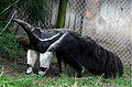 Thumbnail for version as of 17:20, 31 December 2008