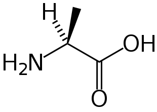 File:L-alanine-skeletal.svg