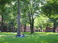 Thumbnail for version as of 12:08, 19 December 2006