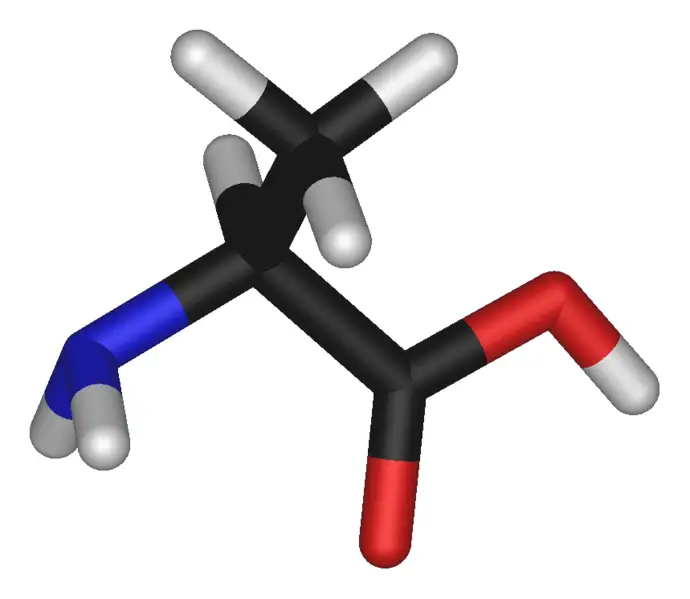File:L-alanine-3D-sticks.png