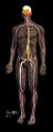 Thumbnail for version as of 14:20, 30 October 2005
