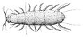 Thumbnail for version as of 23:10, 14 January 2009