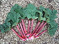 Thumbnail for version as of 21:48, 9 June 2008